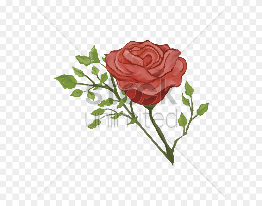 600x600 Rose Vector Image - Rose Vector PNG