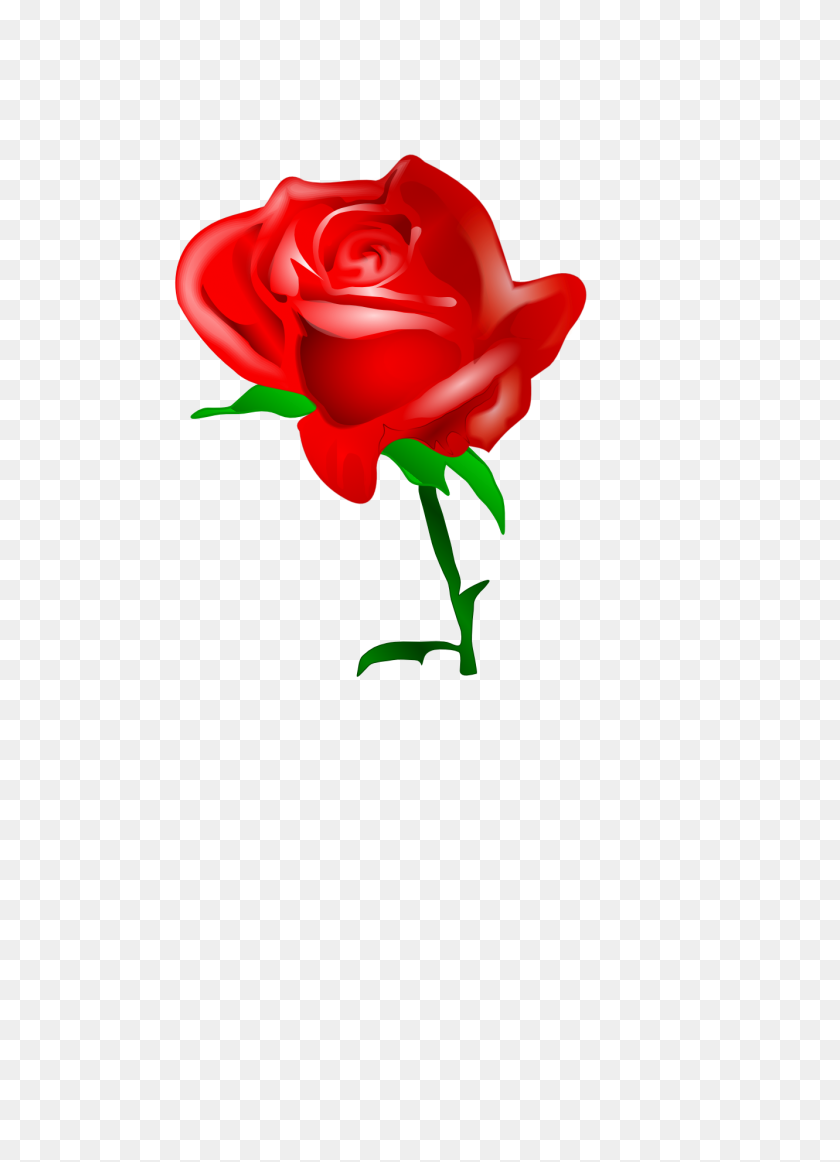 1331x1882 Роза Граница Виноградной Лозы Клипарт Красный - Роза Границы Png