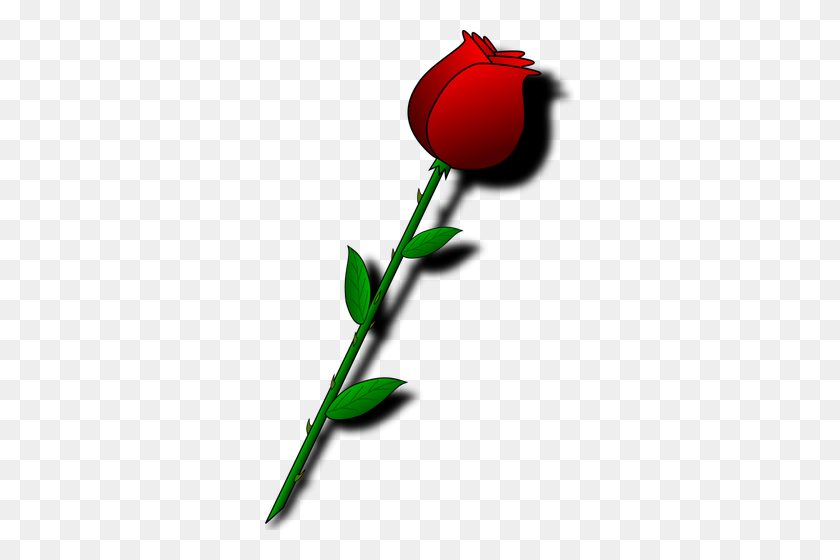 309x500 Rose With Thorns - Thorn Clipart
