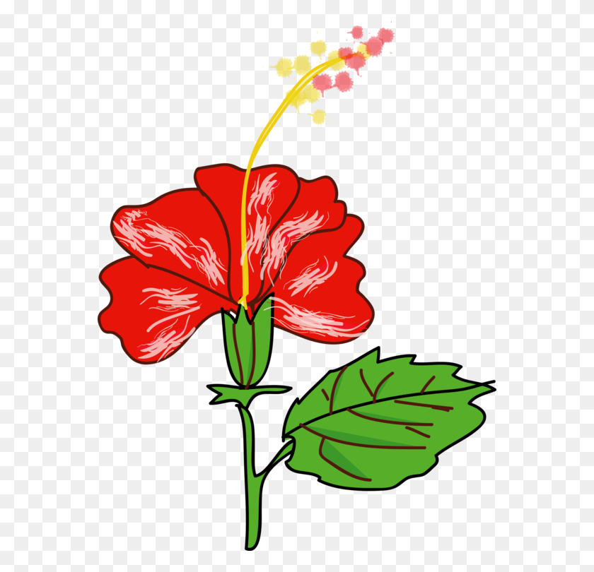 564x750 Rosemallows Shrub Hawaii Drawing Flower - Azalea Clipart