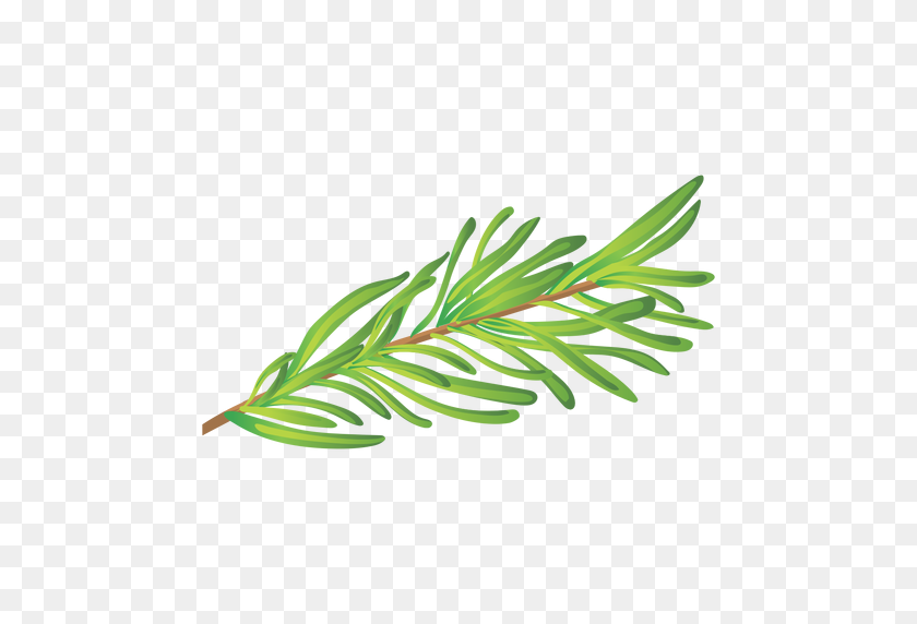 512x512 Rosemary Herb Illustration - Rosemary PNG
