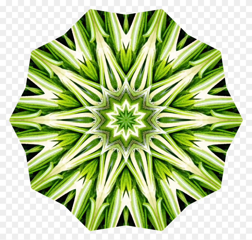 2400x2282 Rosemary Kaleidoscope Icons Png - Rosemary PNG