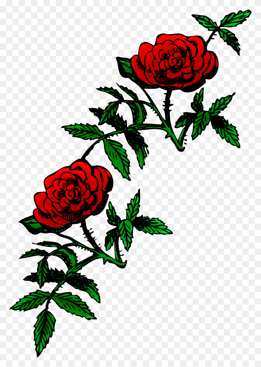2580x3711 Roses - Rose Bush Clipart