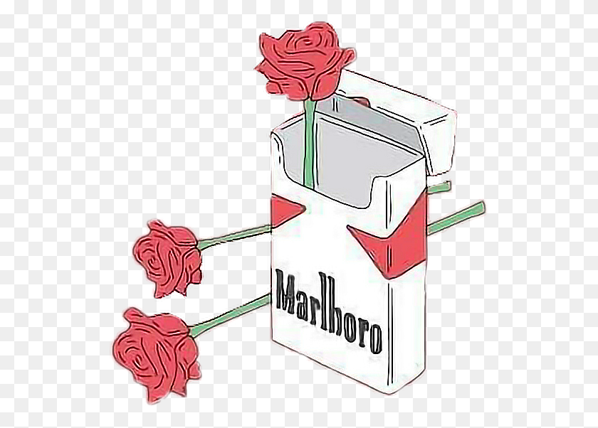532x542 Розы Эстетические Сигареты Сигареты Курить Цветы - Сигаретный Дым Клипарт