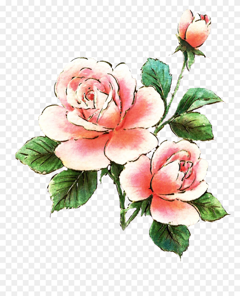 939x1175 Grupo De Arte De Rosas Con Elementos - Clipart De Rosas