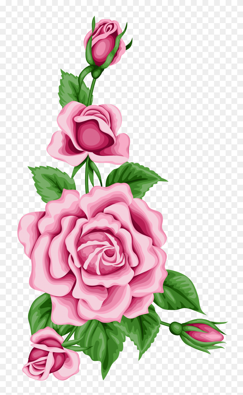 3077x5162 Roses Decoration Png Clipart - Rosas PNG