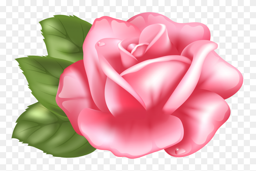 6000x3868 Roses On The Fabric, Ultra Hd, Kb, For Your Desktop - Fabric Clipart