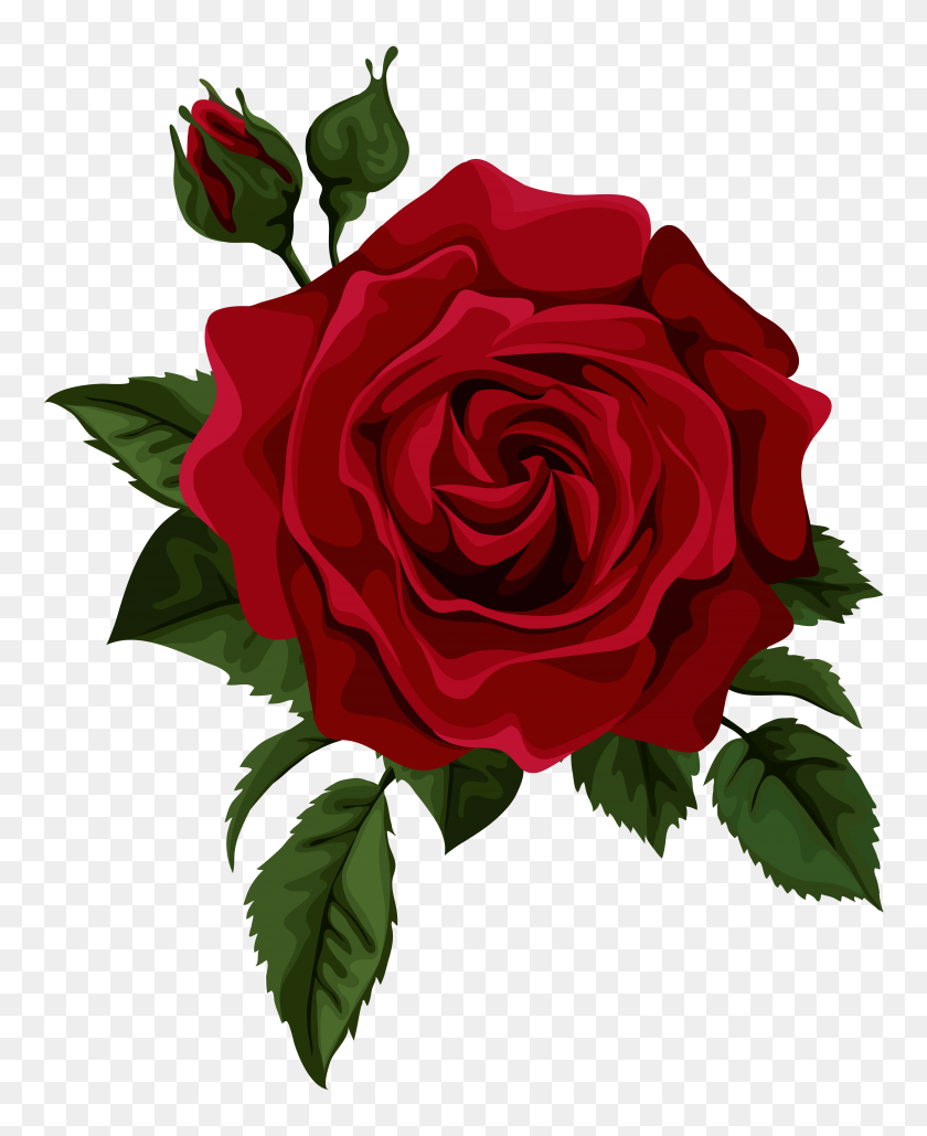 Roses Red Rose With Bud Transparent Clip Art Picture Rose - Rose Border Clipart