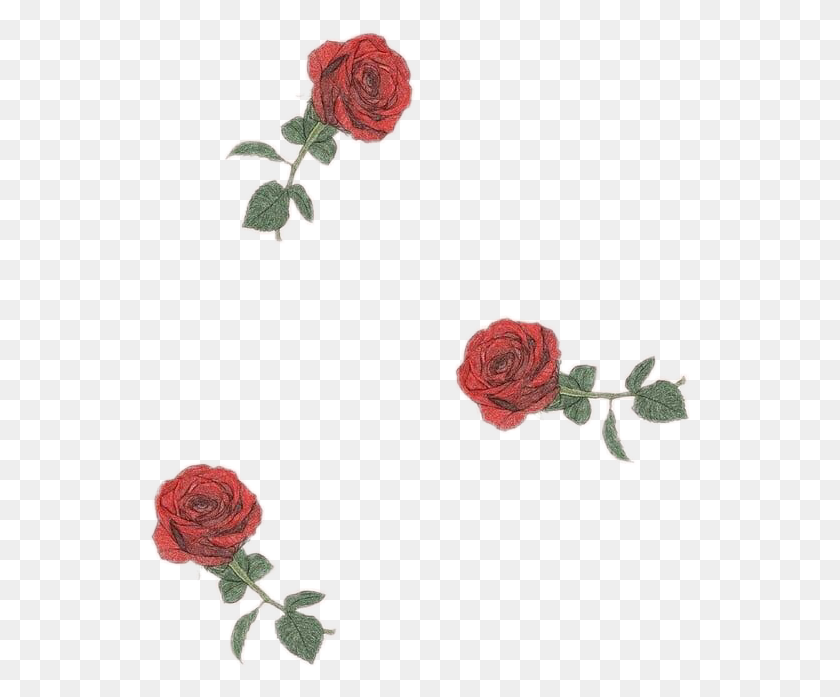 540x637 Розы Роза Флор Цветочный Рисунок Цветов В Tumblr Эстетика - Цветок В Tumblr Png
