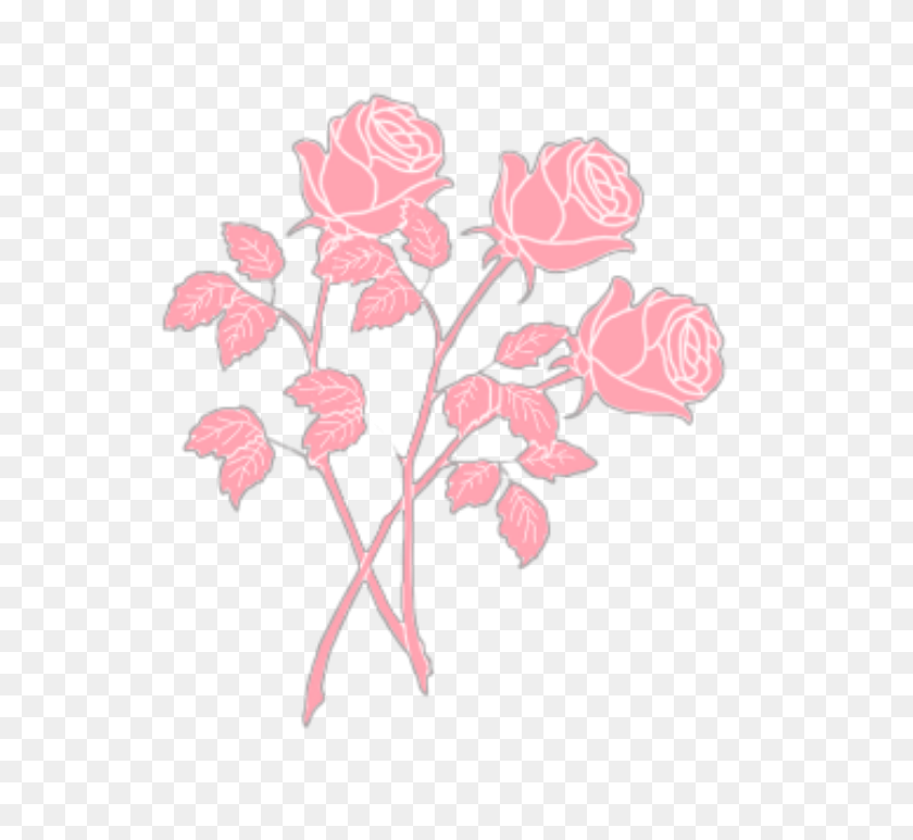 Roses Rose Pink Pastel Pastelpink Aesthetic Tumblr Plan Flower Png Tumblr Stunning Free Transparent Png Clipart Images Free Download