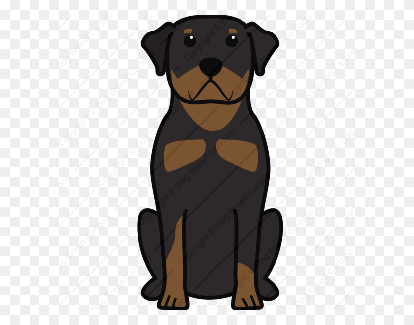 600x600 Rottweiler Descargar Perro De Dibujos Animados De Diseño De Rottweiler - Rottweiler Png
