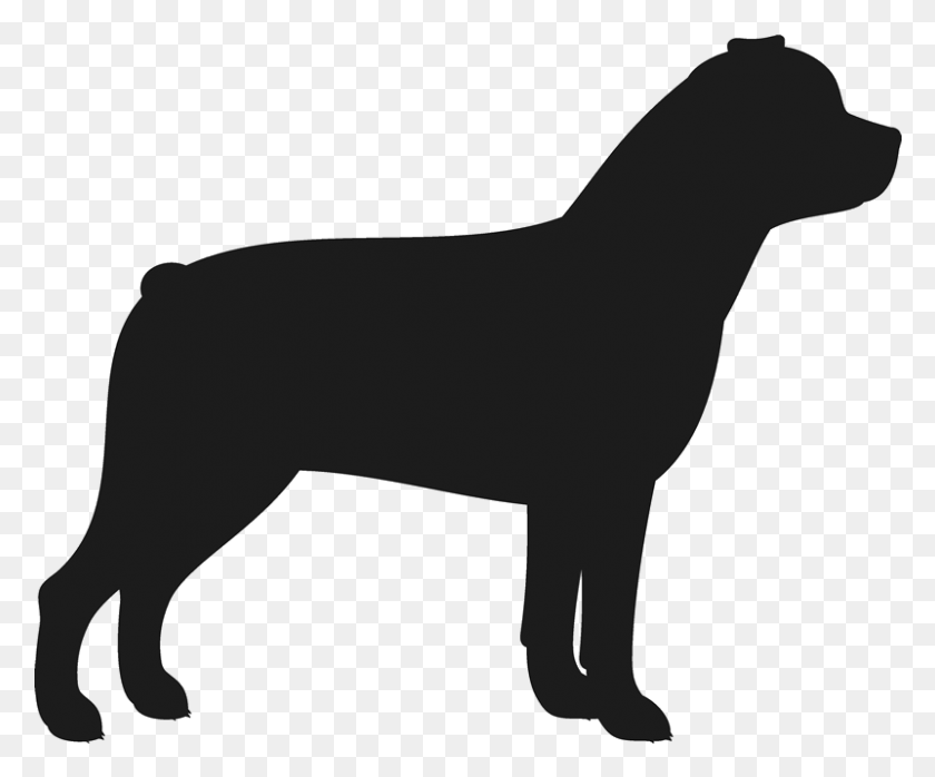 801x656 Rottweiler Stamp Dog, Cat Fur Baby Stamps - Rottweiler PNG
