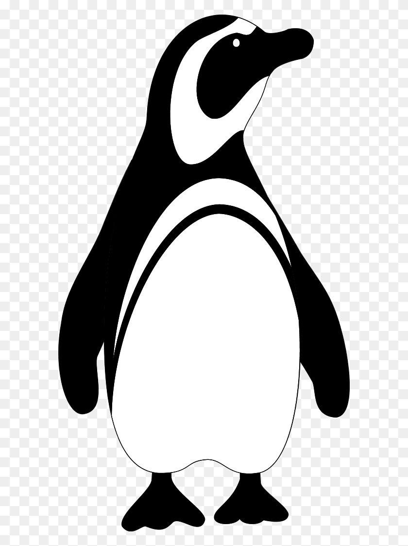 600x1062 Круглый Круглый Пингвин - Пингвин Клипарт Png