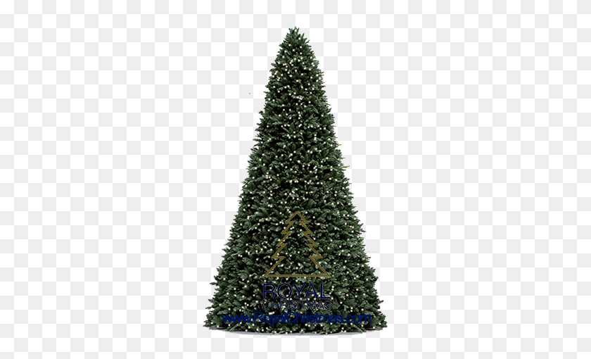 265x450 Royal Christmas - Treeline PNG