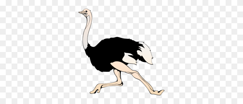 297x300 Running Ostrich Clip Art At Pictures - Running Clipart PNG