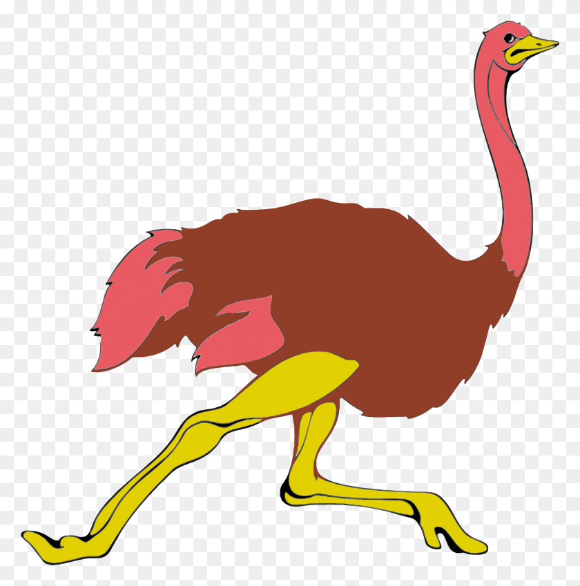 2232x2258 Running Ostrich Icons Png - Ostrich PNG