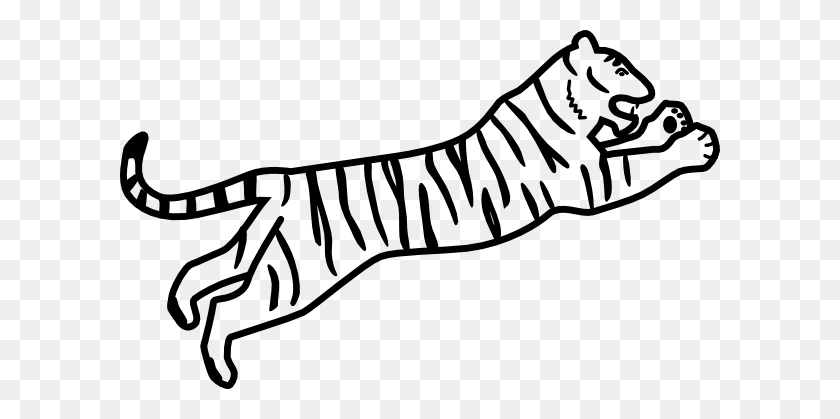 600x359 Бегущий Тигр Черно-Белый Клипарт - Изображения Тигра