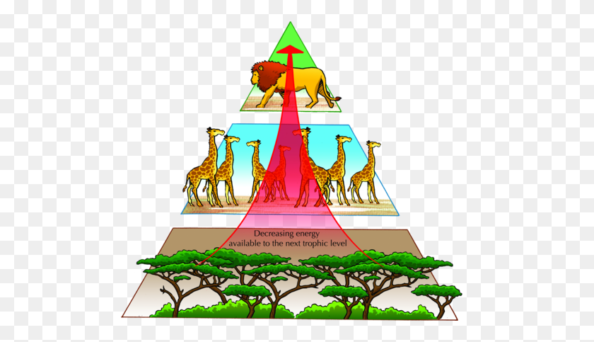 500x423 Safari Clipart Grassland Ecosystem - Pyramid Clip Art