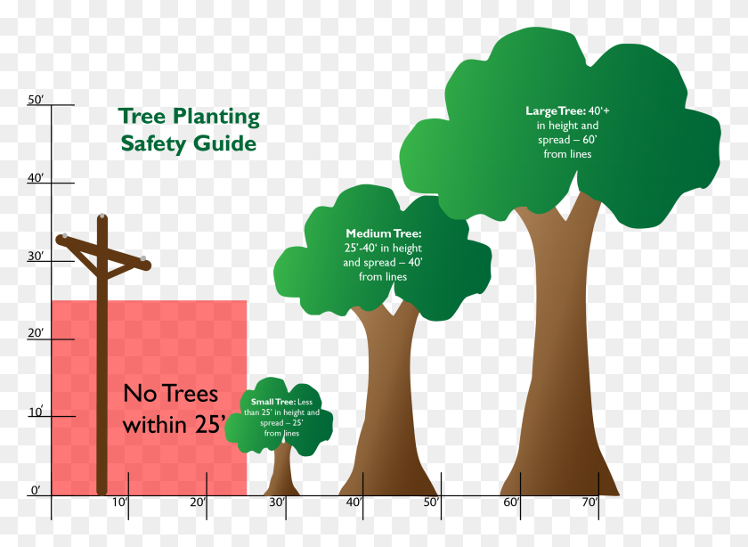 2665x1895 Safe Tree Planting - Magnolia Tree PNG