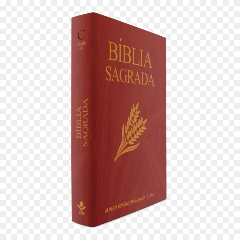 800x800 Sagrada De - Biblia Png