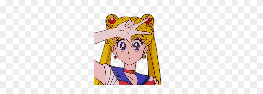 240x240 Sailormoon Usagi Anime Otaku - Imágenes Prediseñadas De Sailor Moon
