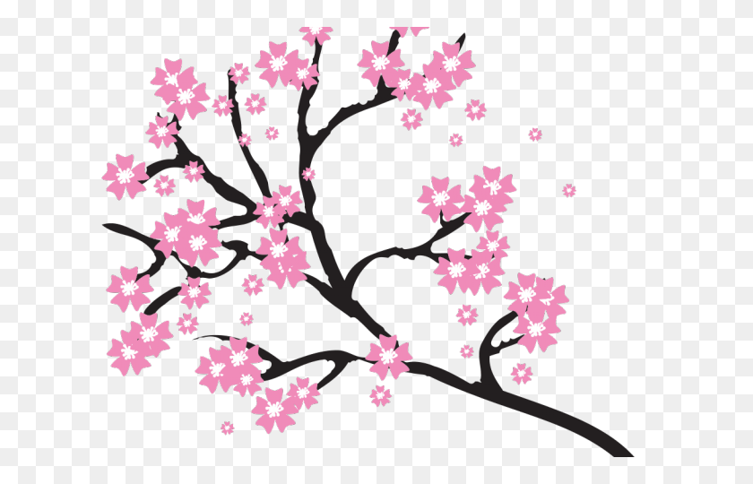 640x480 Sakura Blossom Clipart Peach Blossom - Sakura Clipart