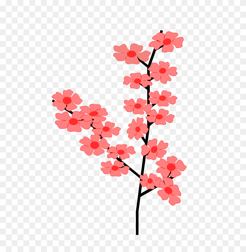 566x800 Sakura Clipart Petal - Japanese Maple PNG