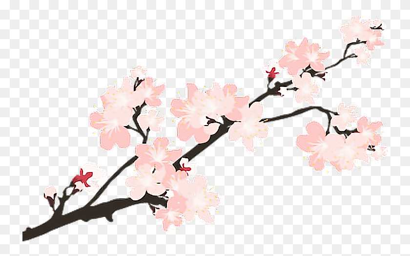 748x464 Sakura Japón Etiqueta Engomada De La Remixit - Árbol De Sakura Png