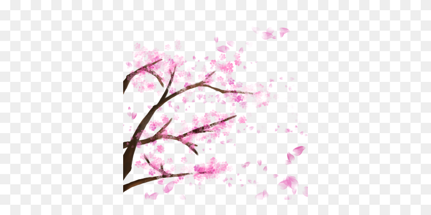 360x360 Sakura Png, Vectors, And Clipart For Free Download - Sakura Tree PNG