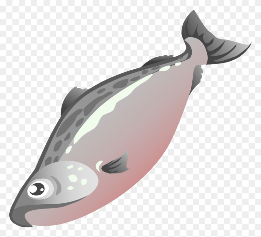 800x720 Salmon Clipart - Fried Fish Clipart