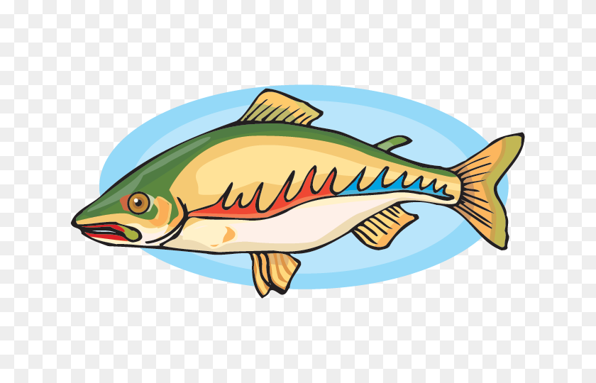 641x480 Salmon Facts - One Fish Two Fish Clip Art