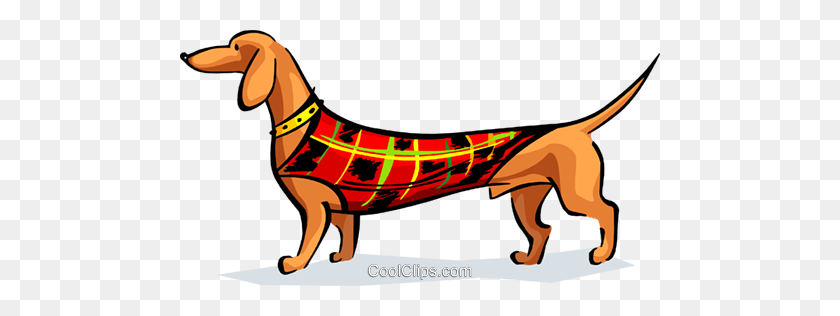480x256 Sausage Dog In Coat Royalty Free Vector Clip Art Illustration - Weiner Dog Clip Art