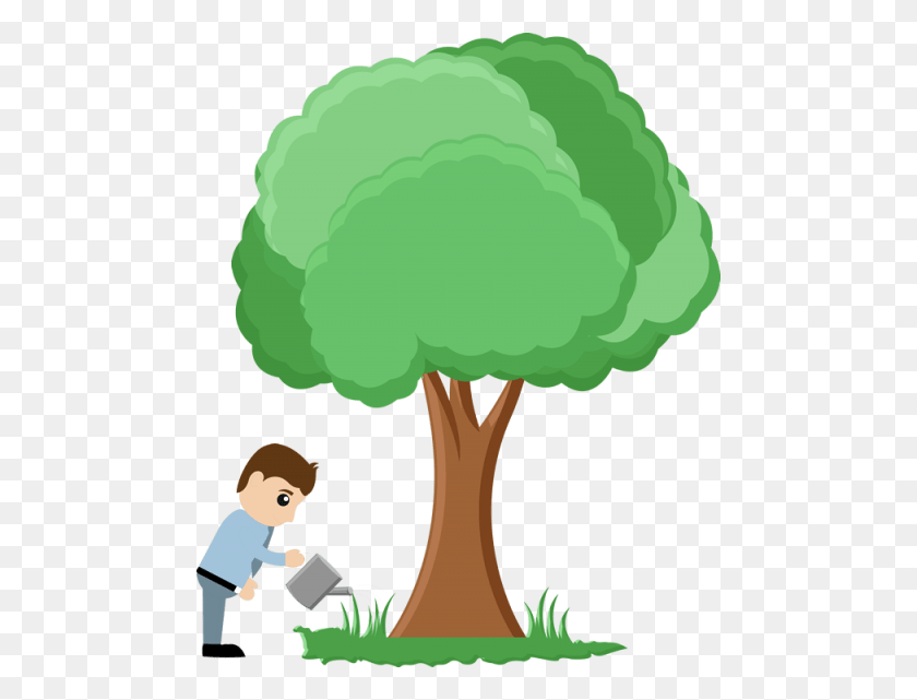 480x581 Save Tree Download Png Png - PNG Images Download
