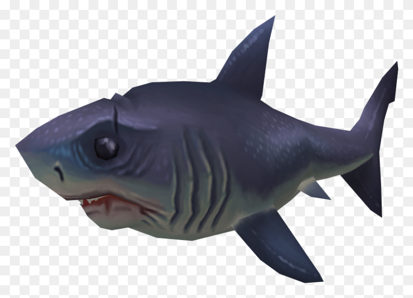 807x565 Sayln The Shark - Большая Белая Акула Png