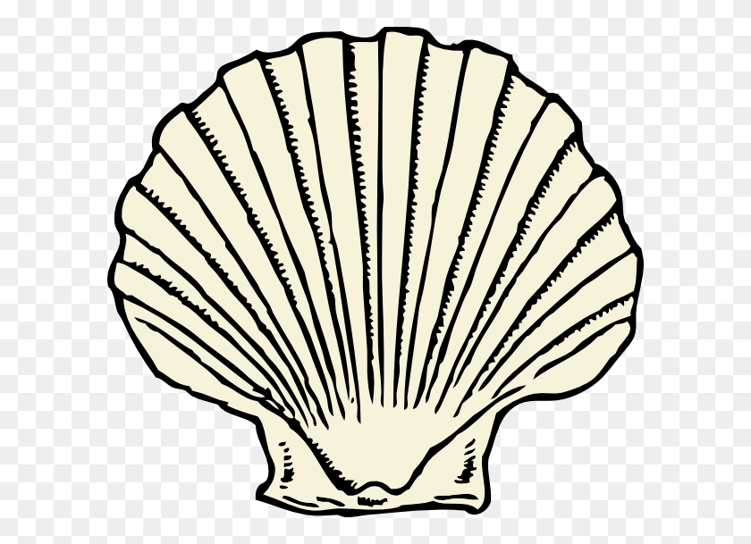 600x549 Scallop Shell - Parliament Clipart