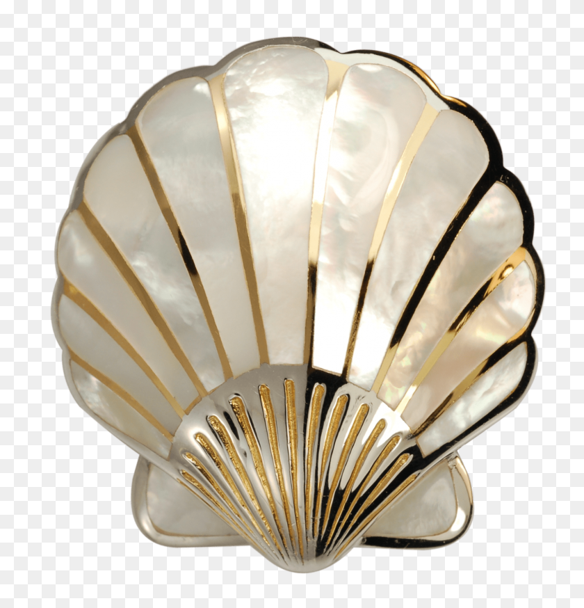 1591x1662 Scallop Shell Large - Clam Shell PNG
