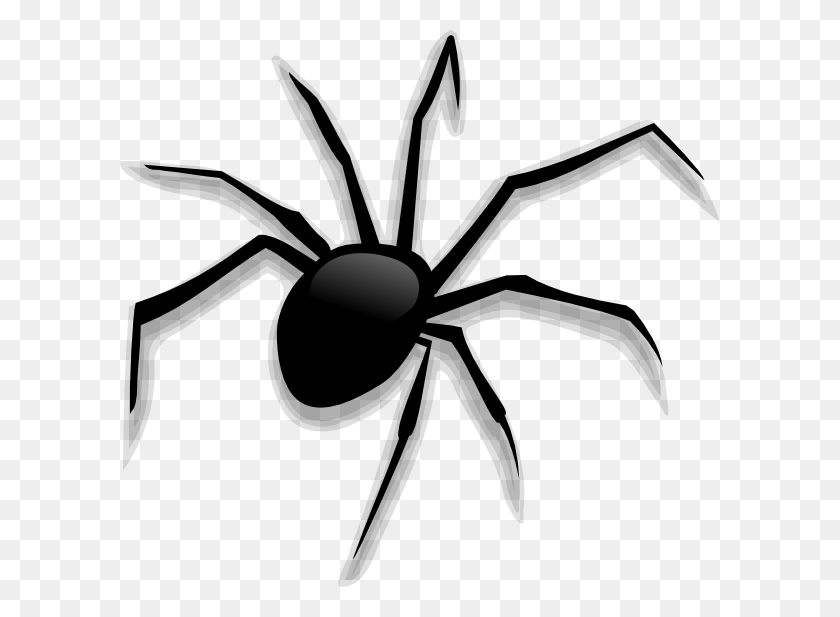 600x557 Scary Spider Cliparts - Spider Black And White Clipart
