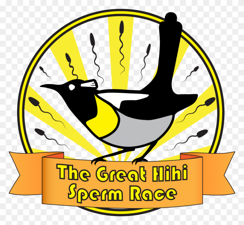 809x741 Sciblogs Betting On Bird Sperm In A Race To Help Hihi - Speedy Recovery Clipart