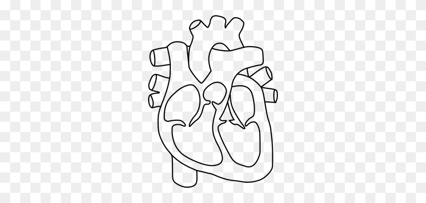 256x340 Science Clipart Heart - Science Clipart Black And White