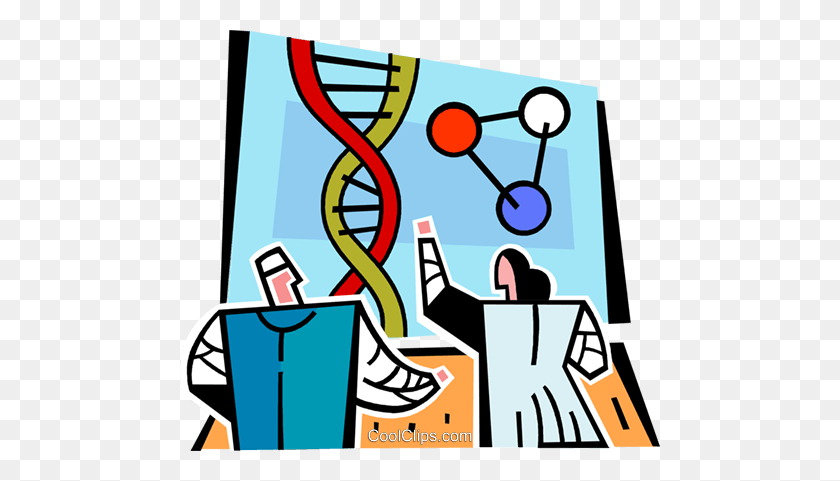 480x421 Scientists Looking - Scientist Clipart PNG