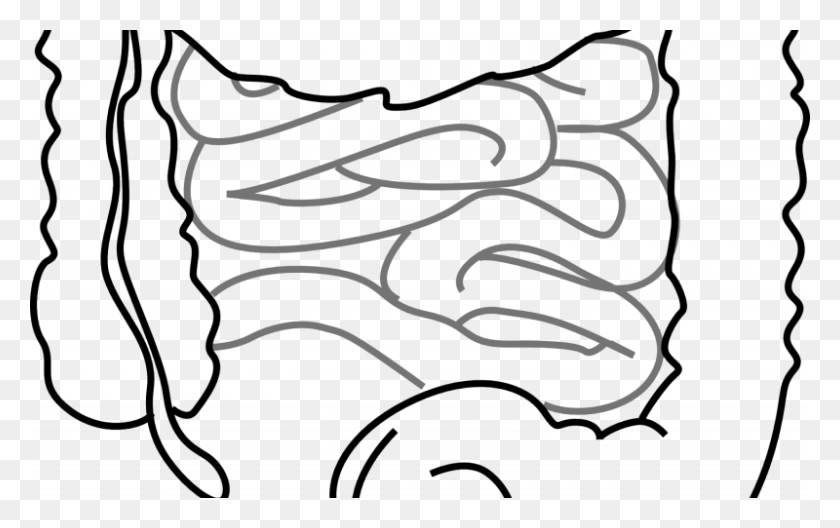 800x480 Scientists Reveal How Gut Microbes 'recover' After Antibiotic - June Clipart Black And White