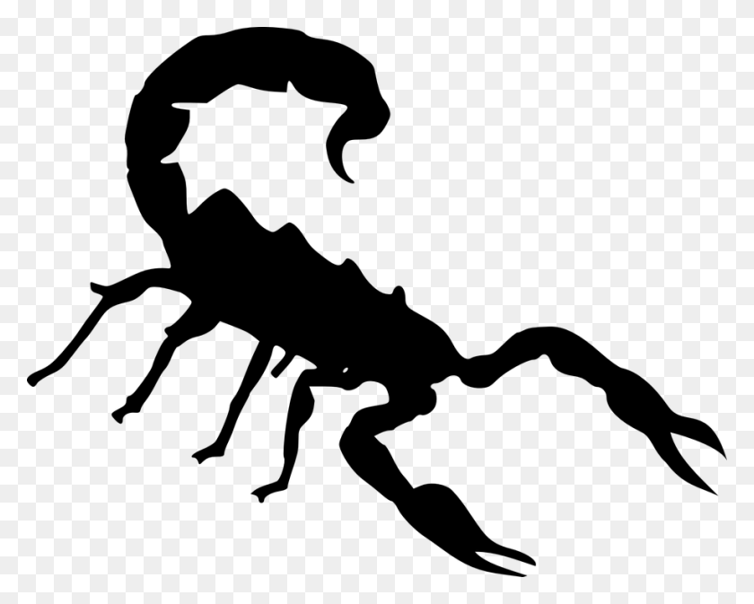 916x720 Scorpio Png Images Free Download - Scorpion PNG