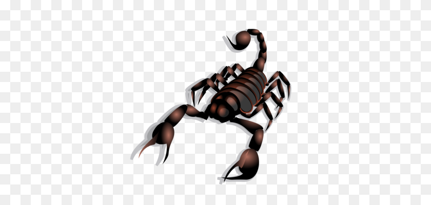 340x340 Scorpion Arachnid Venom Animal Computer Icons - Venom Clipart