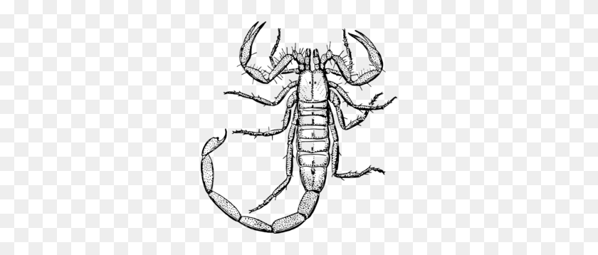 276x298 Scorpion Clip Art - Lobster Clipart Black And White