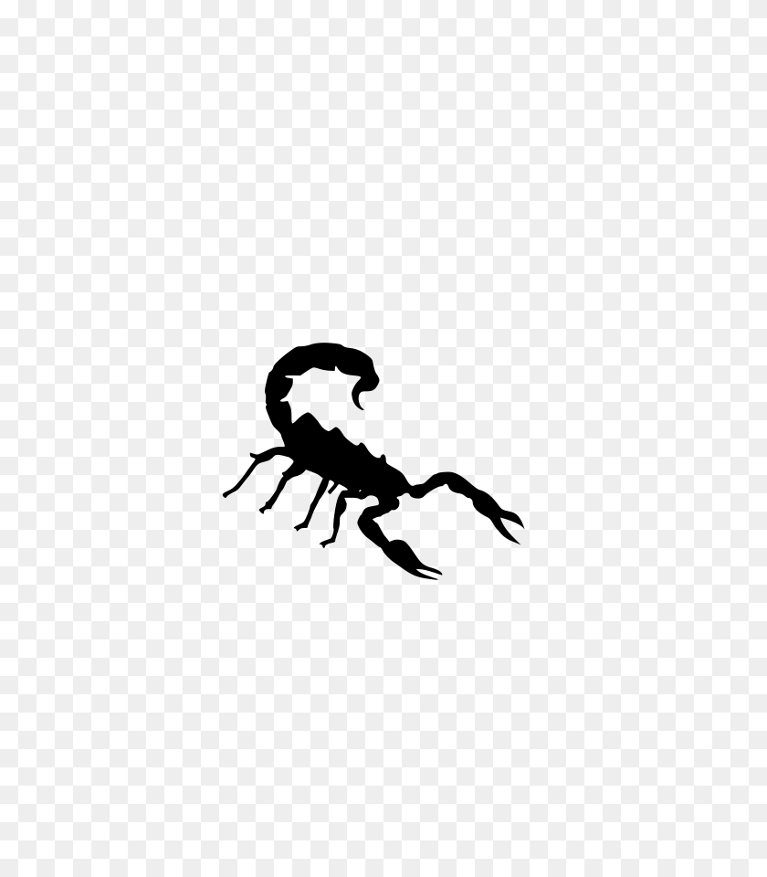637x900 Scorpion Clip Art Free - Donkey Clipart Free