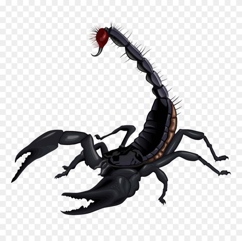 1001x1001 Scorpion Clipart - Crayfish Clipart
