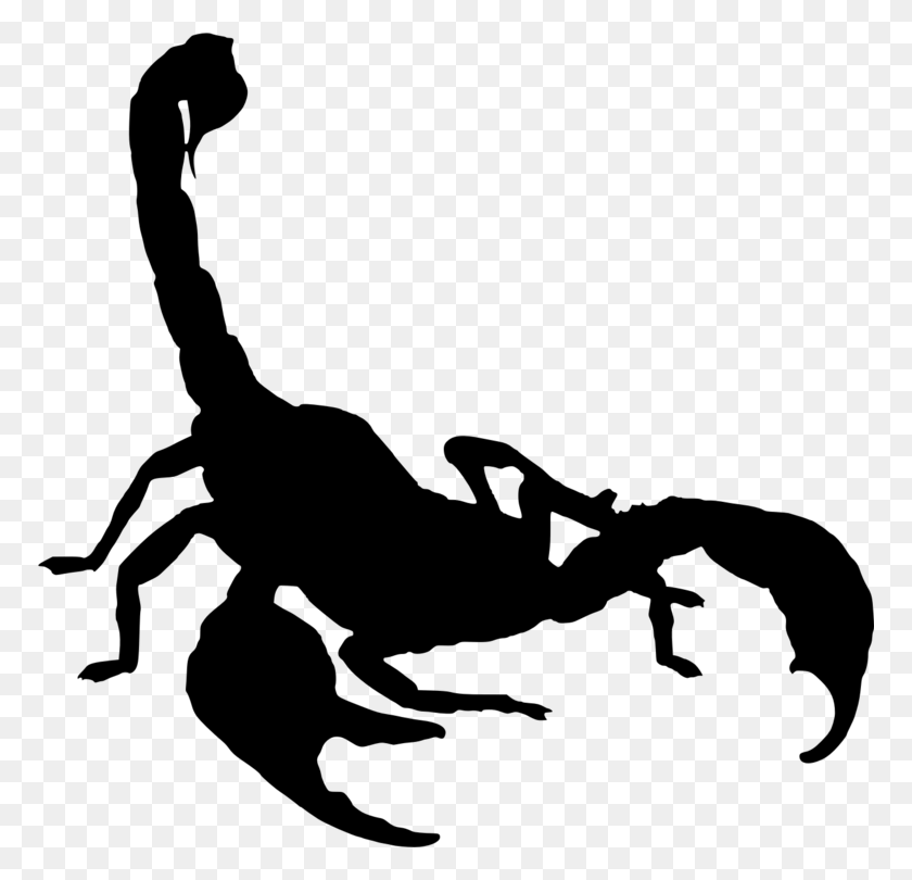 770x750 Скорпион Рисунок Паукообразного - Скорпион Клипарт
