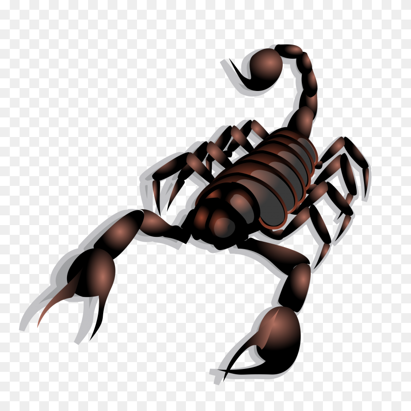 2400x2400 Scorpion Icons Png - Scorpion PNG