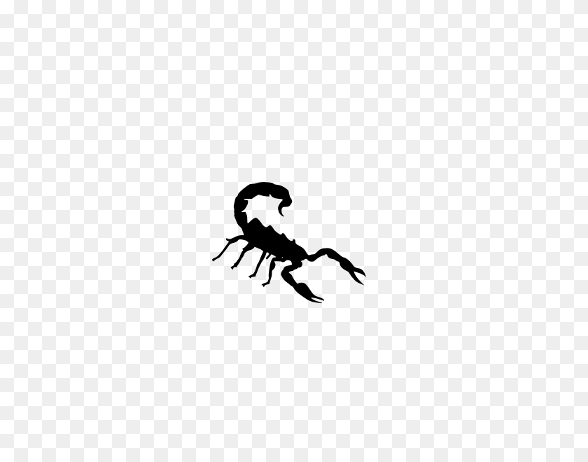 424x600 Scorpion Png Clip Arts For Web - Scorpion PNG