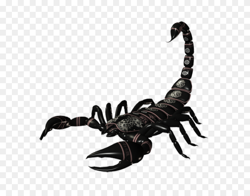 600x600 Scorpion Png Free Download - Scorpion PNG